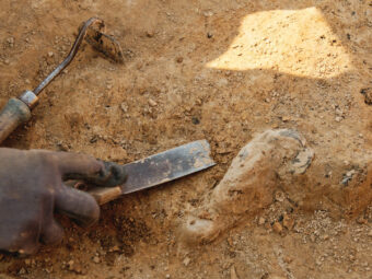 Archaeology-and-exhumation-works